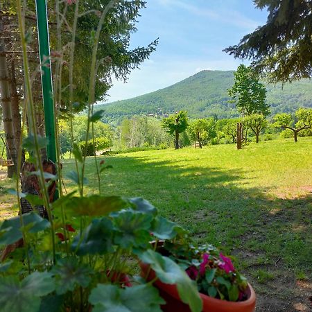 Vila Jezerski Raj Borsko Jezero Экстерьер фото