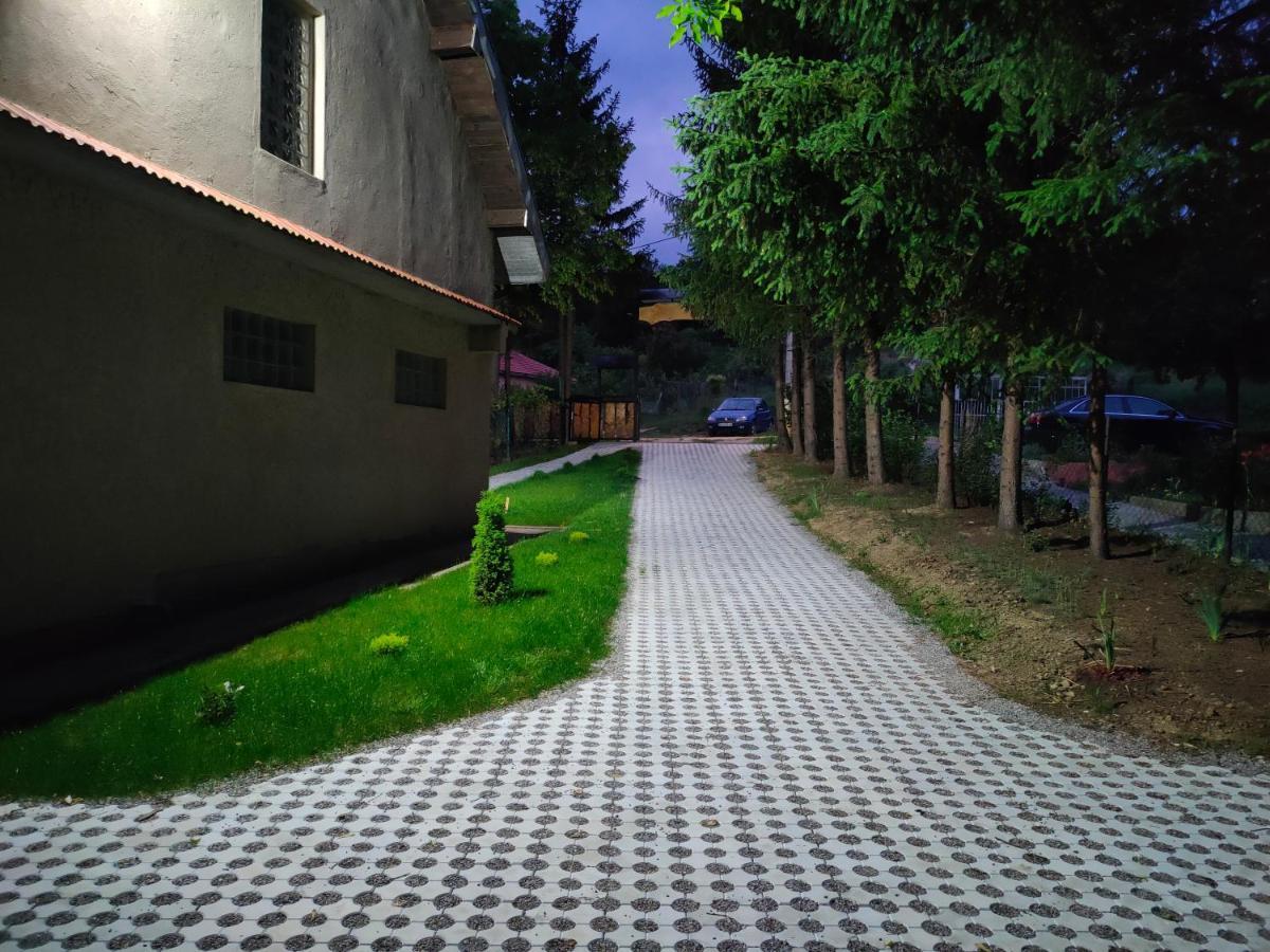 Vila Jezerski Raj Borsko Jezero Экстерьер фото