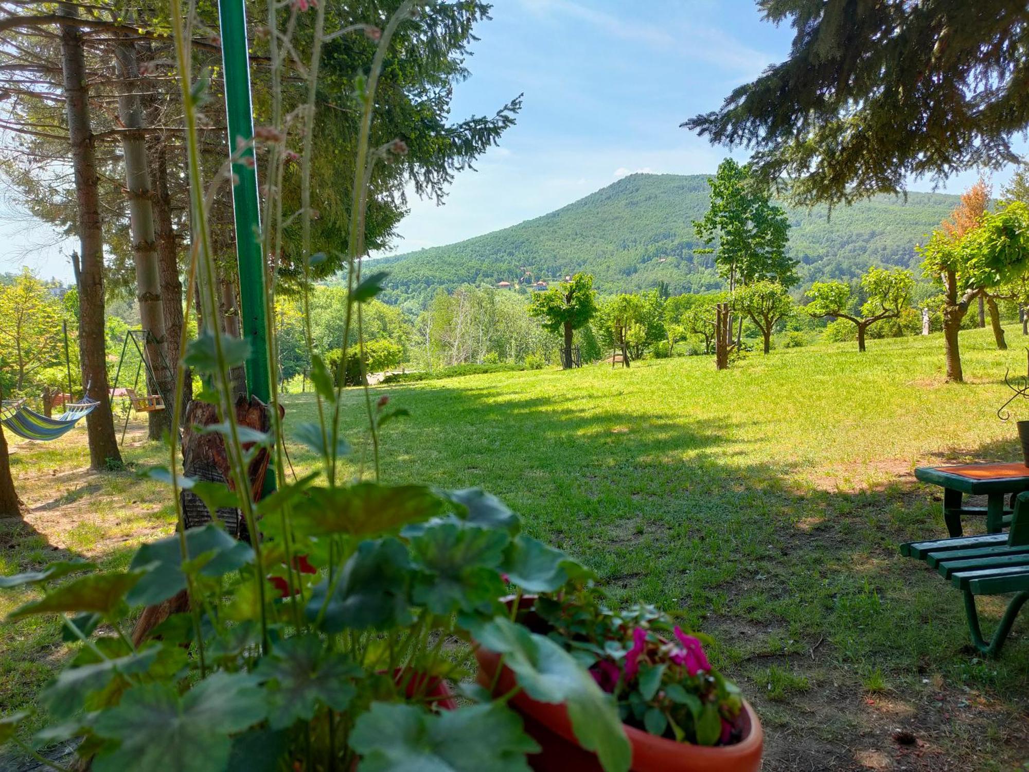 Vila Jezerski Raj Borsko Jezero Экстерьер фото