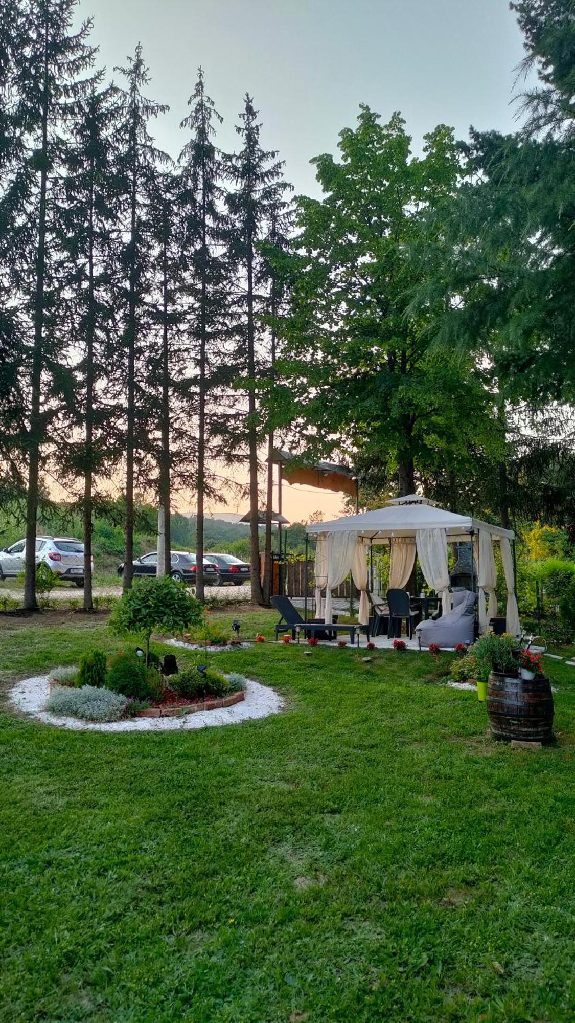 Vila Jezerski Raj Borsko Jezero Экстерьер фото